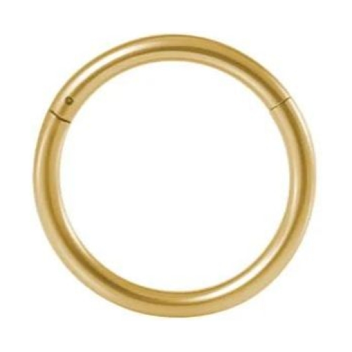 Piercing segmento liso 10mm acero dorado