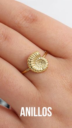 ANILLOS
