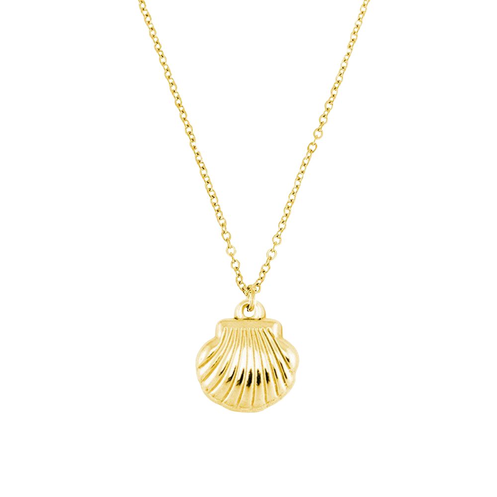 Collar concha acero dorado
