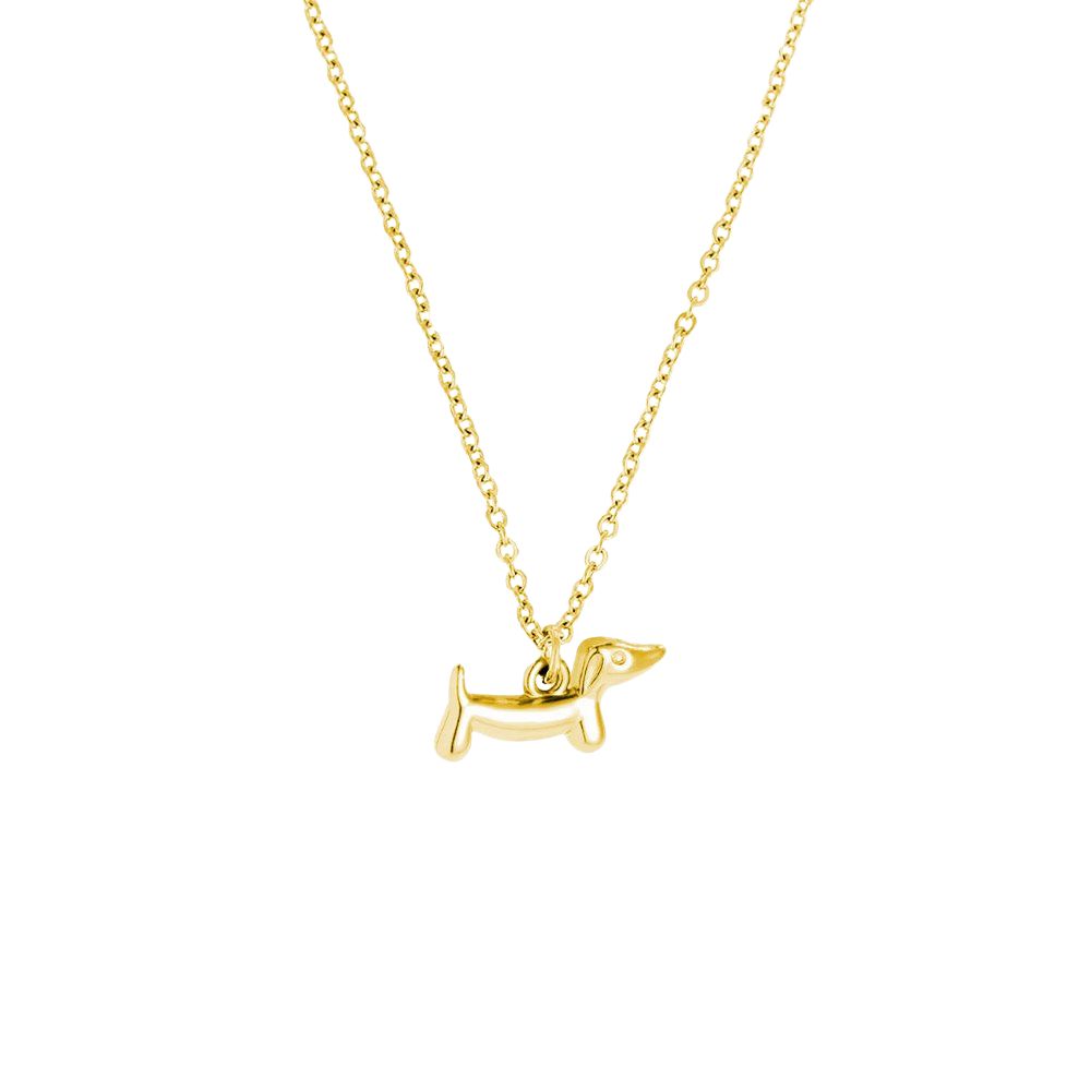 Collar perro dachshund acero dorado