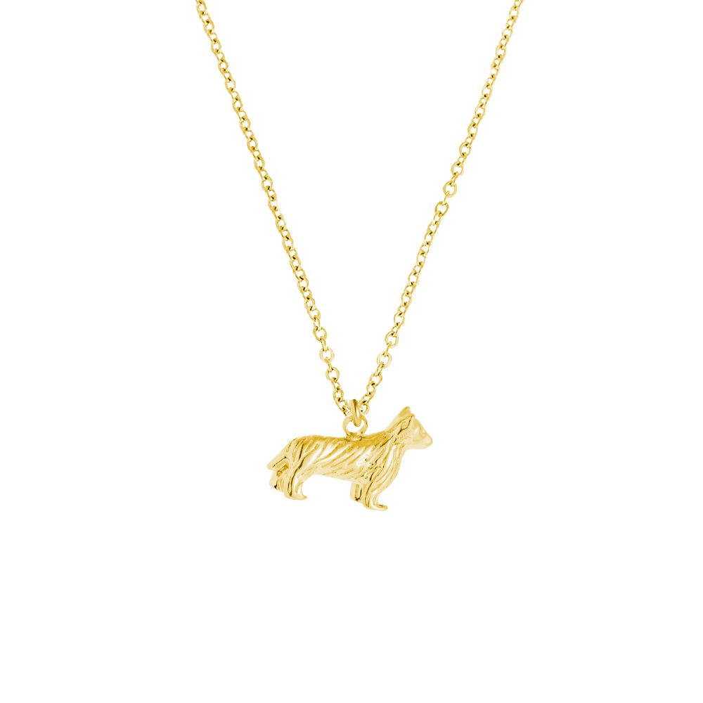 Collar perro border collie acero dorado